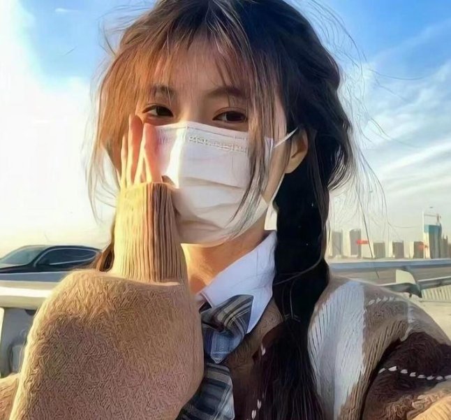 方案